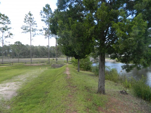 Another view of the dog park