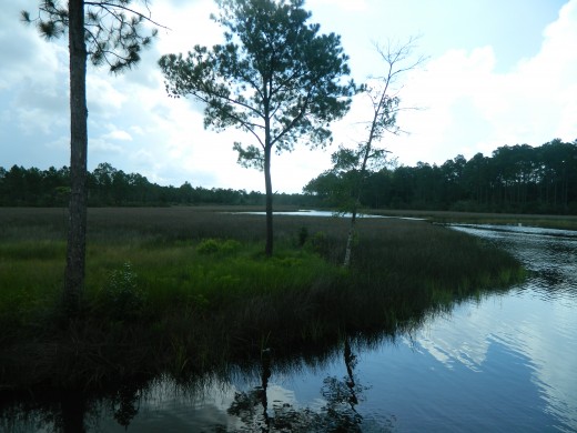 Another view of the water