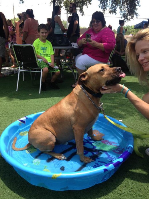 Axel at "Yappy Hour" 
