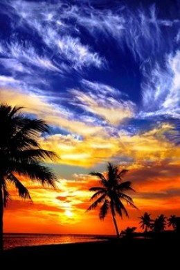 https://usercontent1.hubstatic.com/13109248_f260.jpg