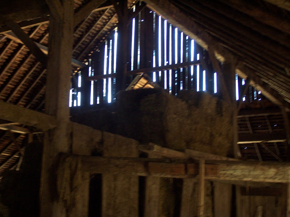 Inside the old barn
