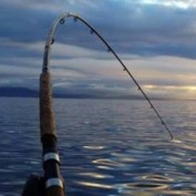 fishing bc profile image
