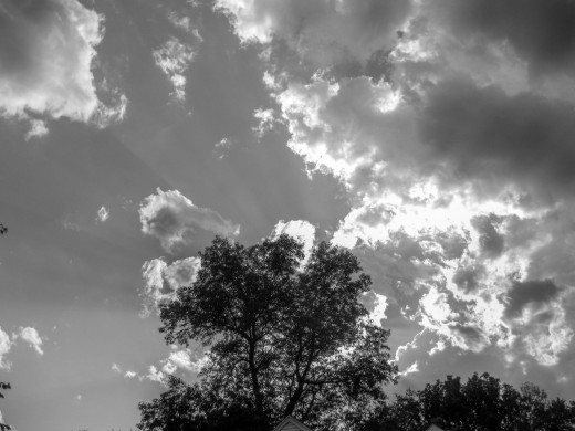 Copyright Levi Perry