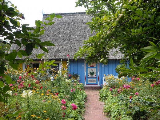 A beautiful cottage garden
