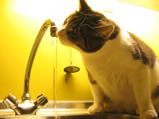 Water is seriously underrated as a tool to reduce tension. Even if you are bang in the middle of an argument, consider drinking a few mouthfuls. It will reduce the amount of stress you experience.