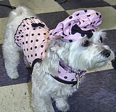 Tuffy's styling in Pink Polka Dots.