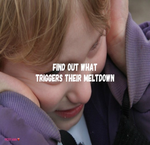 Assuming that the child somehow wants the  negative attention from a tantrum is illogical and not productive.