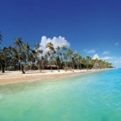 Katia Punta Cana profile image