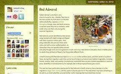 text wrapping images 