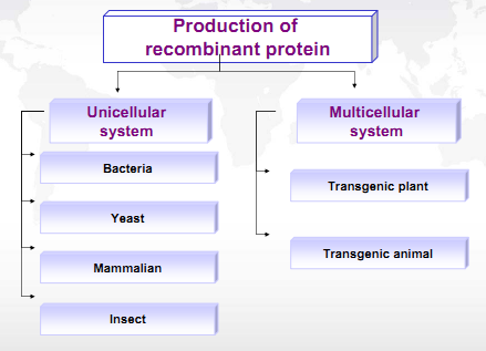 different expression systems for production of recombinant proteins