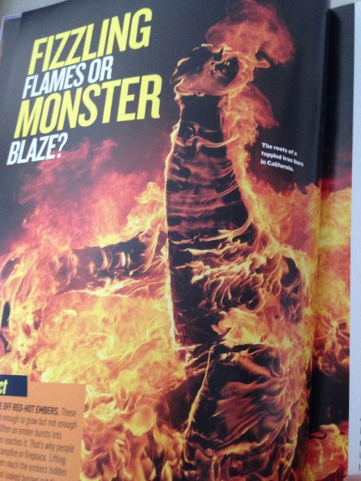 Stunning Photo of Monster Fire