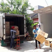 jualoxonebekasi profile image