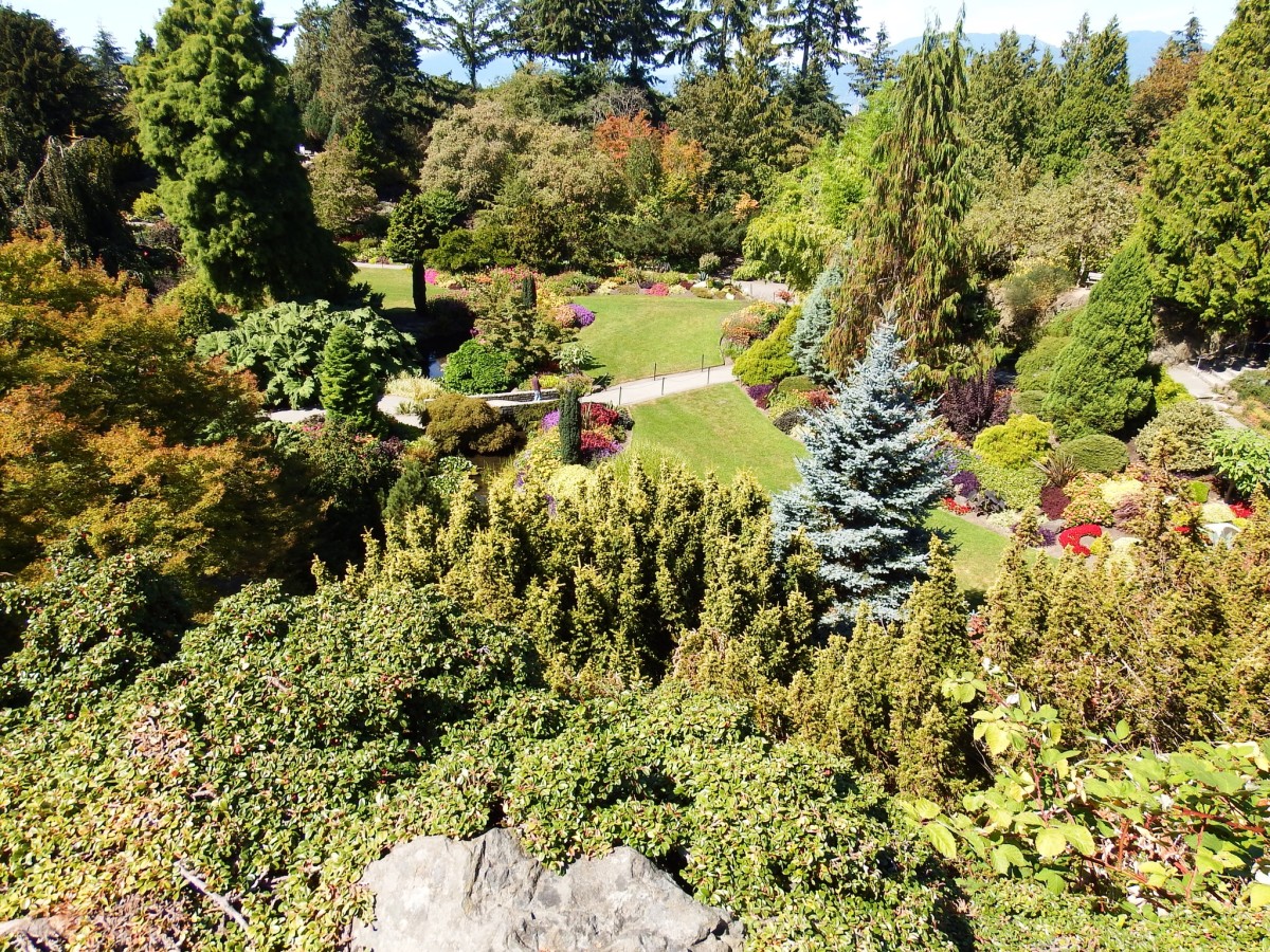 Bloedel Conservatory and Queen Elizabeth Park in Vancouver | WanderWisdom