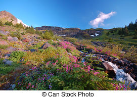 Verdant flora