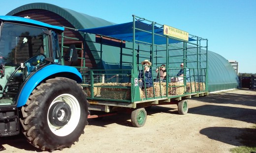 Touring Trailer at Pohl's Bison Ranch
