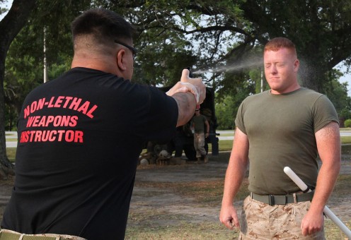 What Nonlethal Weapons Can Be Used by the Police? What Nonlethal Weapons Can Be Used by the Police?