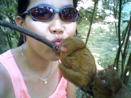 Kiss the Tarsier