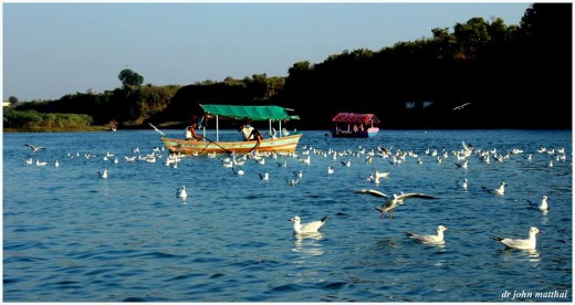 Tourist Boat