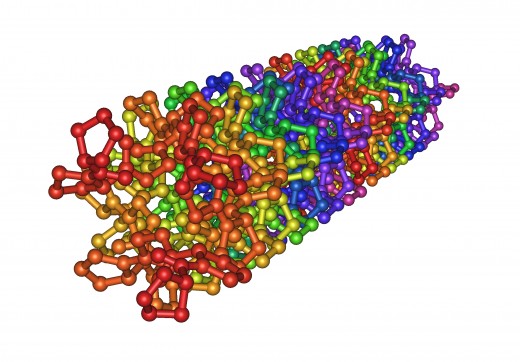 This is a crystal structure of the collagen.