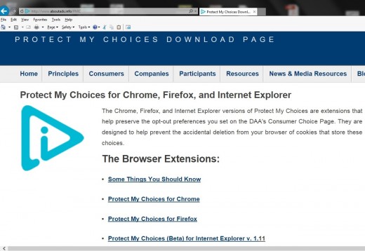 This browser plug-in would be stored as an application on your computer.