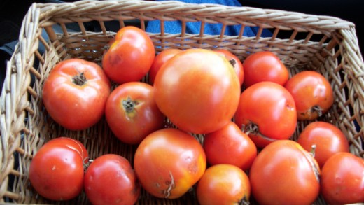 Fresh tomatoes make great chili....