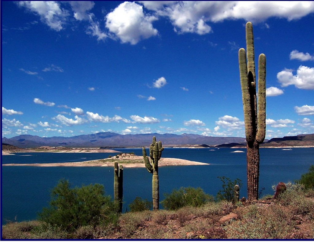 Water Board Sports >> October 2016 Sun City Democratic Newsletter/Blog Right Now ... Water Board Sports >> October 2016 Sun City Democratic Newsletter/Blog Right Now ...