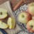 Loaf Cakes--One Simple Recipe, Five Flavor Combinations. Perfect for Breakfast, Snacks, or Gift-Giving