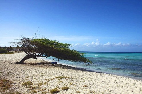 Best Time to Go to Aruba: When Is Hurricane Season? Best Time to Go to Aruba: When Is Hurricane Season?