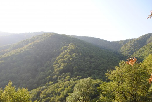 The picture was taken in the end of August 2016 in Shikahogh Reservat.