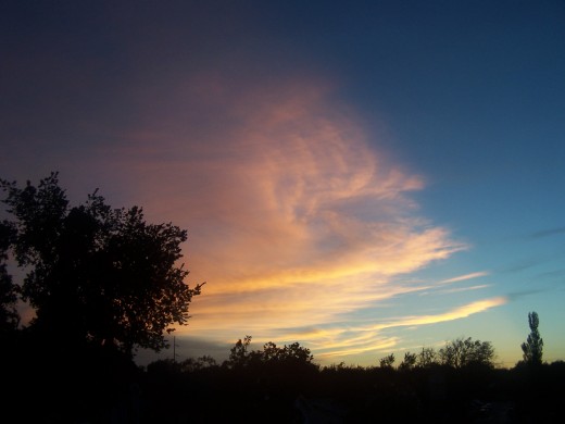 The Universal picture painted by the Almighty Creator, maker of Heaven and Earth.