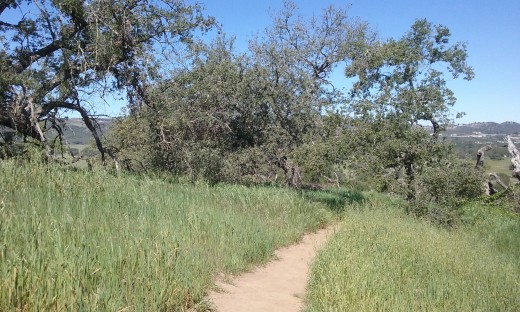Walking, a path to your heart