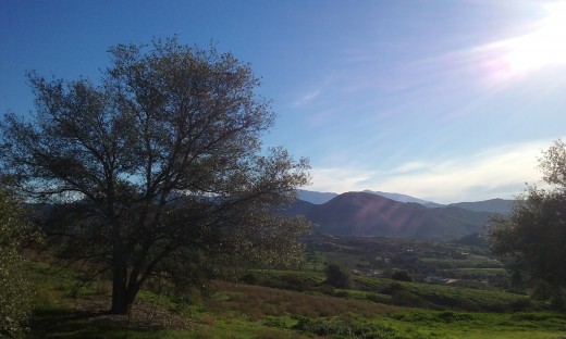 Breathe in the beauty of Nature