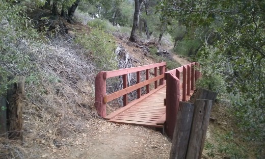 Walking in Nature is a transformational experience
