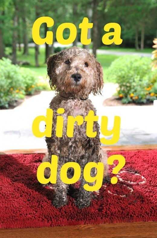 Dog Gone Smart Dirty Dog Doormat | HubPages