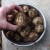 Potatoes I grew from one of those "Gone green,Started chitting, should be binned" leftovers