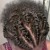 Natural Style2 Natural Style2