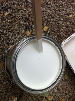 A Reason to Watch Paint Dry