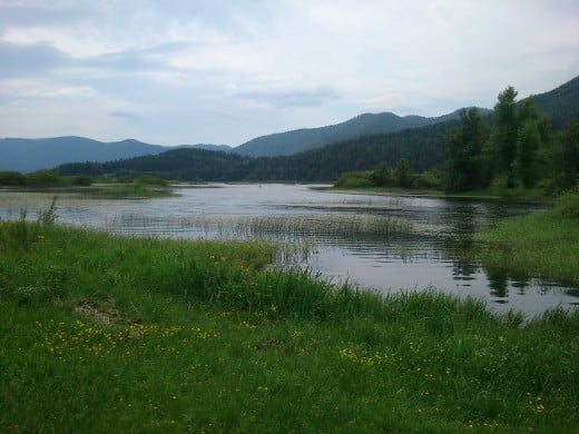 Part of Lake Cerknica in May