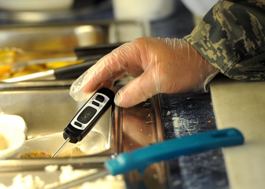 I now see why a meat thermometer is essential inside a restaurant's kitchen and maybe in yours too!