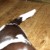 http://www.flickr.com/photos/11694215@N00/507937734/ http://www.flickr.com/photos/11694215@N00/507937734/