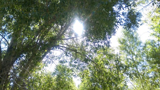 Nature walks can be amazing. Try visualizing yourself walking through a nice place where nothing else matters. 