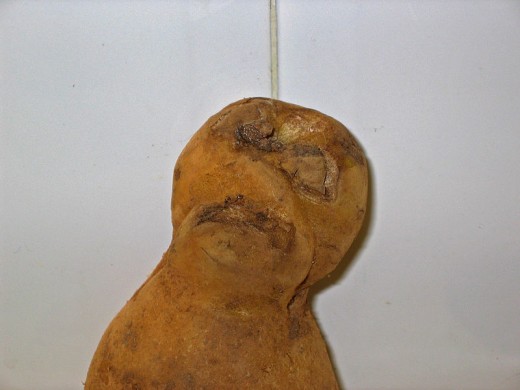  A potato with a mummy face
