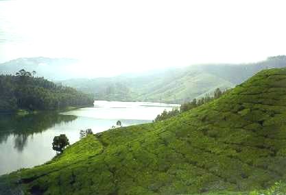 The River
