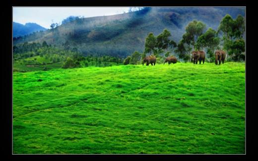 really wild!