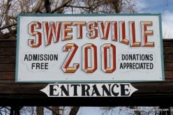 Mysteries at the Swetsville Zoo:  Evil or Good?  Part 1