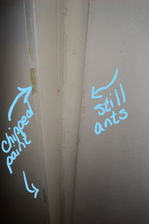 Chipped paint was on the bathroom walls as well as some of the side tables and walls in the living space. The whole place needed a makeover.