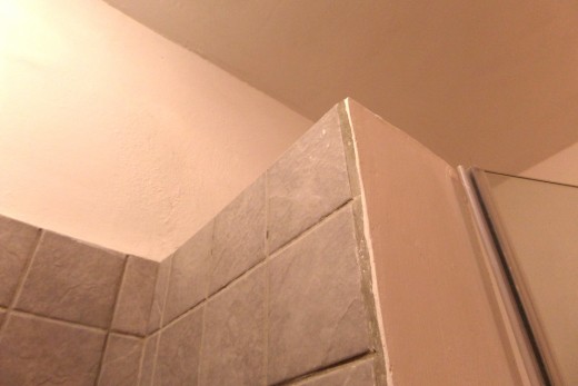 This is the only pic I have of the shower's grout. Other areas were worse.
