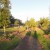 City Park greenery City Park greenery