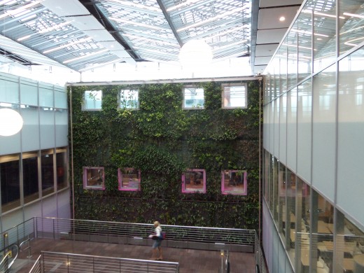 Living wall at the Mauritius airport.