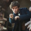 Fantastic Beasts and Where to Find Them Review! (Spoilers!)